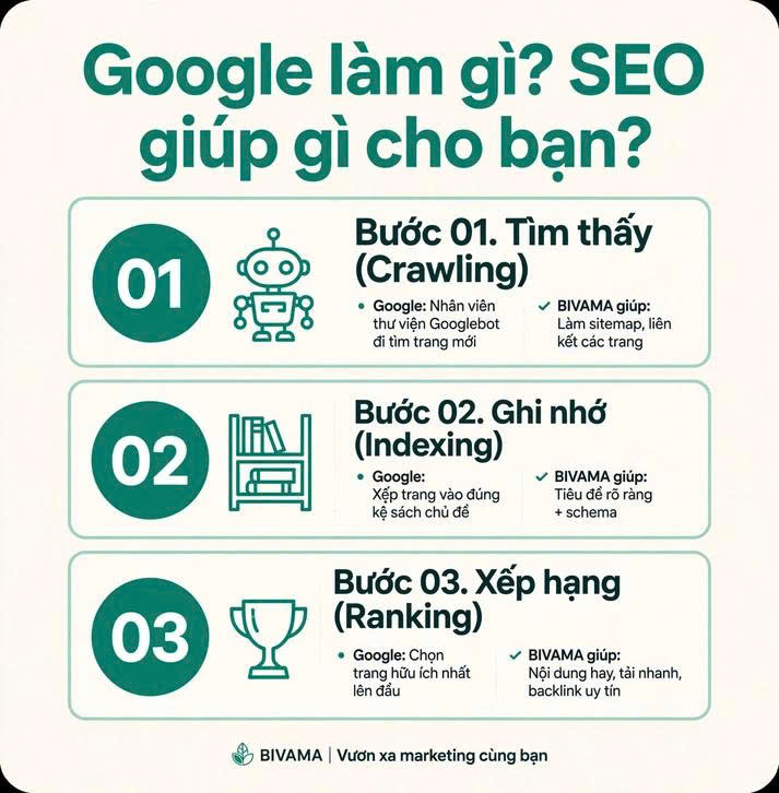 Infographic 3 bước SEO: Bước 01 Tìm thấy Crawling Googlebot đi tìm trang mới, Bước 02 Ghi nhớ Indexing xếp trang vào kệ sách chủ đề, Bước 03 Xếp hạng Ranking chọn trang hữu ích lên đầu - Dịch vụ SEO BIVAMA