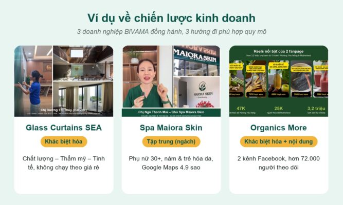 Ví dụ về chiến lược kinh doanh: Glass Curtains SEA, Spa Maiora Skin, Organics More